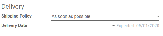 View of the delivery settings to have the delivery lead time taken into account