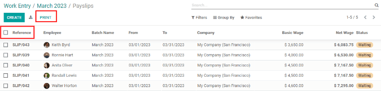 用于打印工资单的打印按钮。