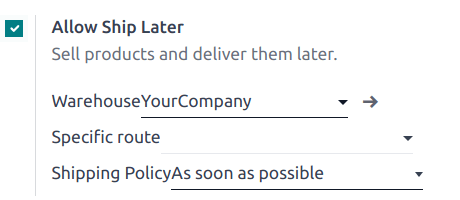 启用及配置稍后发货功能的设定