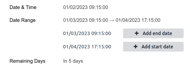 具有不同小组件的日期和时间字段示例
