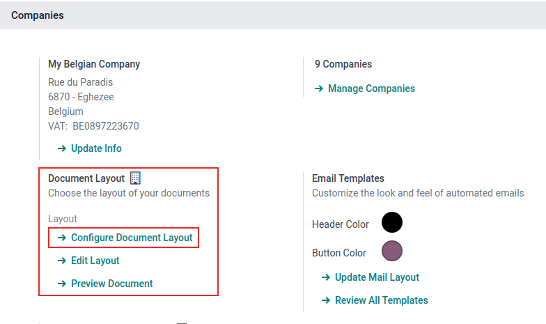 强调 Odoo 文档布局字段的设置页面视图。
