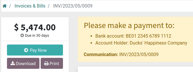 客户门户上的付款说明