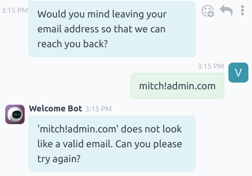 View of a chatbot responding to an invalid email.