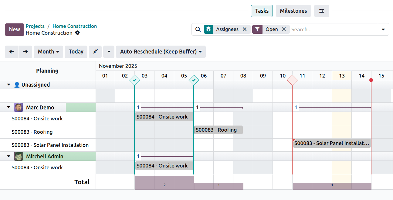Project milestones in Gantt view.