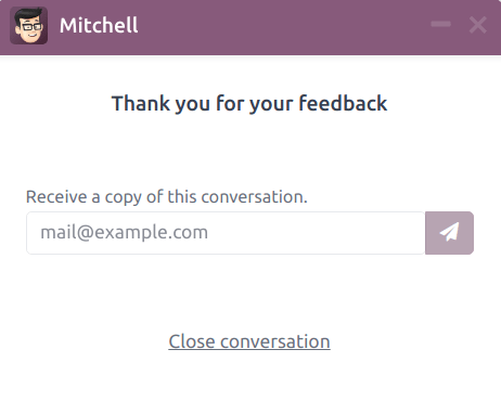 View of customer's live chat window with thank you message.