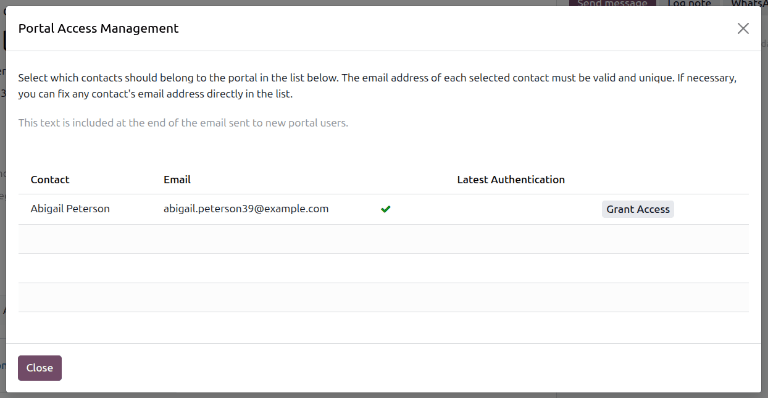 Grant access in the Portal Access Management window.