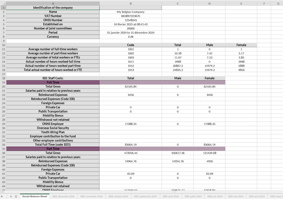 Social Balance Sheet XLSX Content.