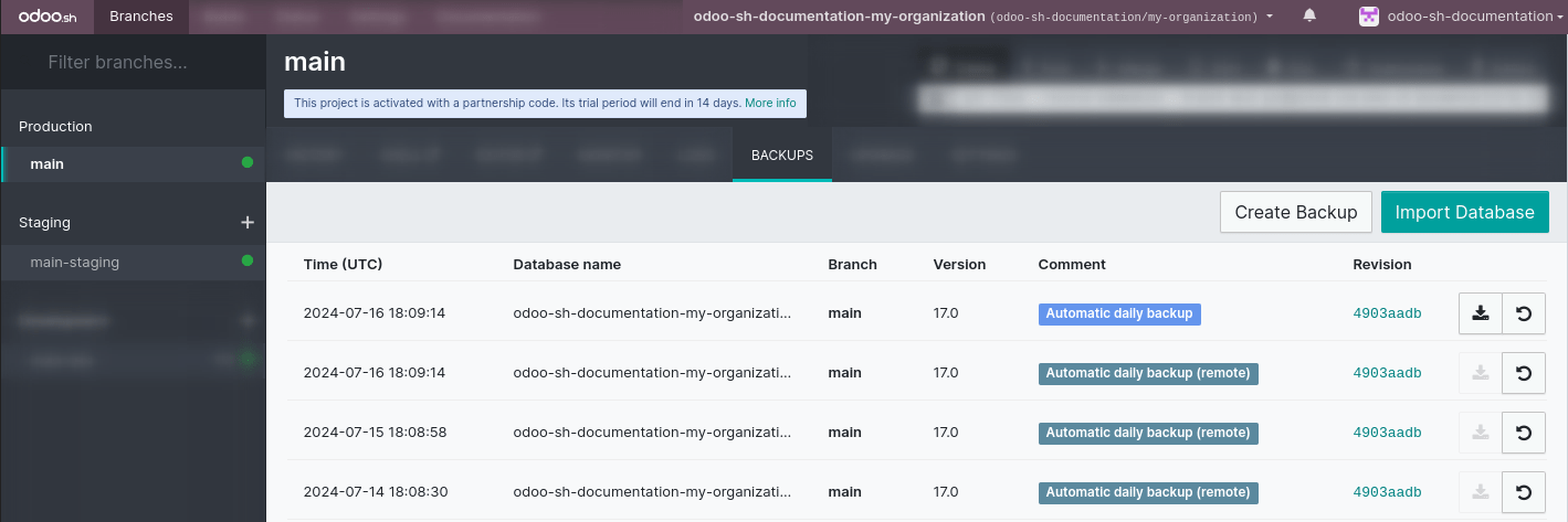 分支的备份选项卡示意图