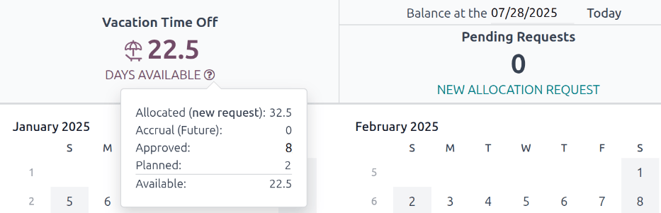 在弹出窗口中查看完整的假期余额详情。