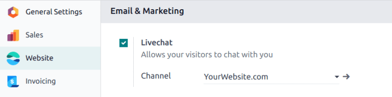 Odoo 实时聊天的设置页面和实时聊天功能视图。