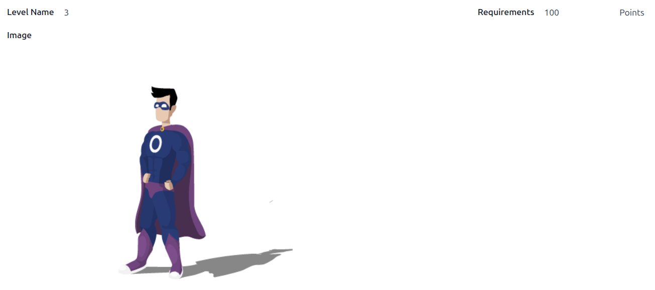 编辑模式下的级别表单。