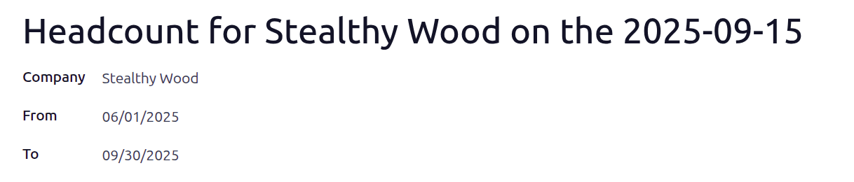 招聘职位报告表，用于第三季度 2025 年。