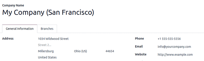 Odoo 的公司信息。