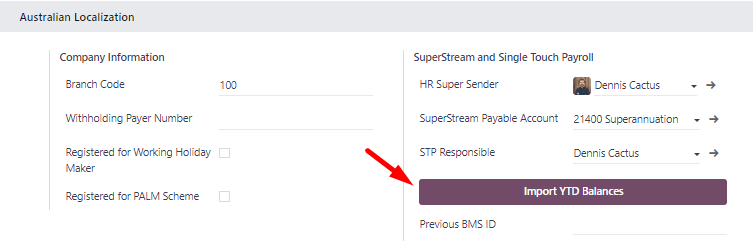 导入 YTD 余额按钮。