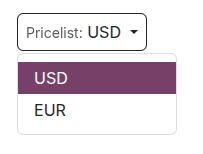 Pricelist selector on the e-commerce.