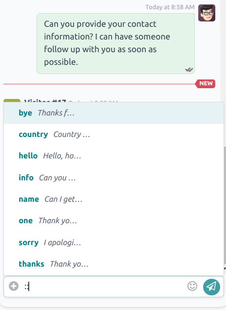 聊天窗口和可用预设回复列表。