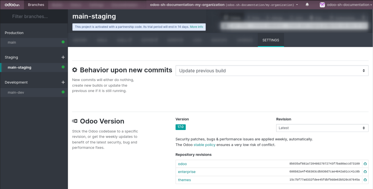 分支的设置选项卡