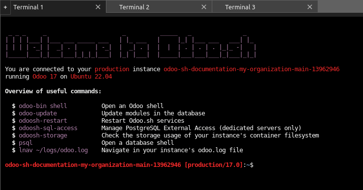 分支的命令选项卡示意图