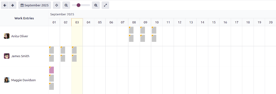 冲突仪表板视图显示所有员工工作条目中的冲突。