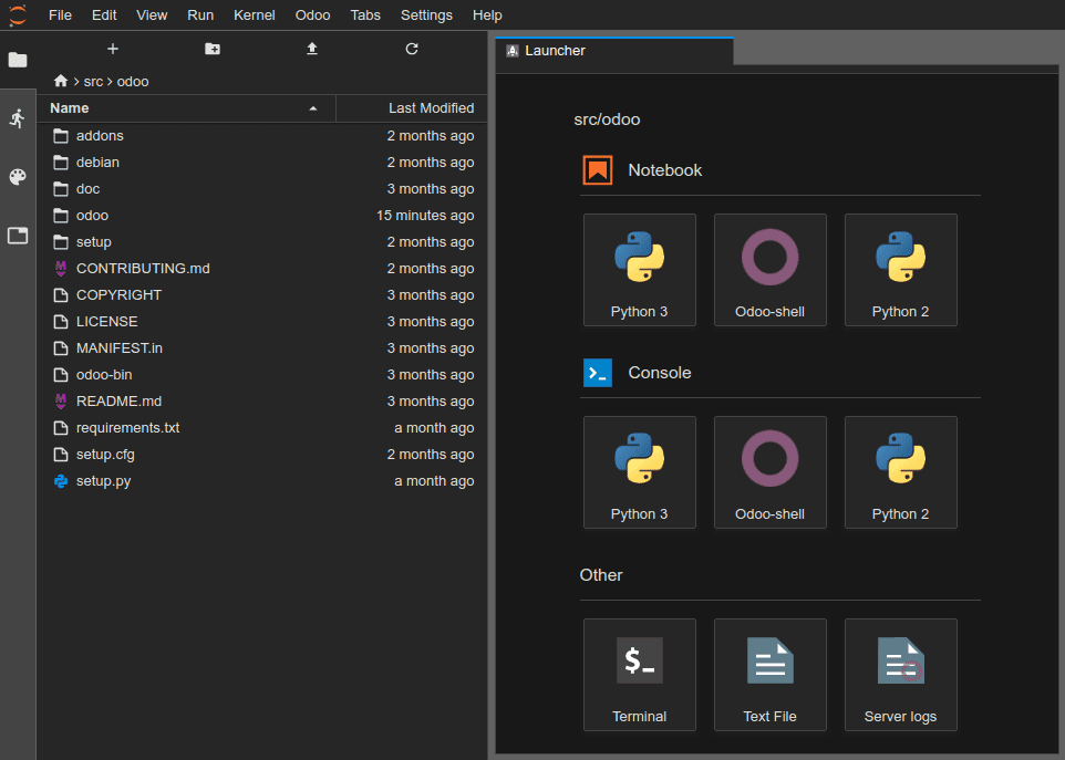Overview of the online editor