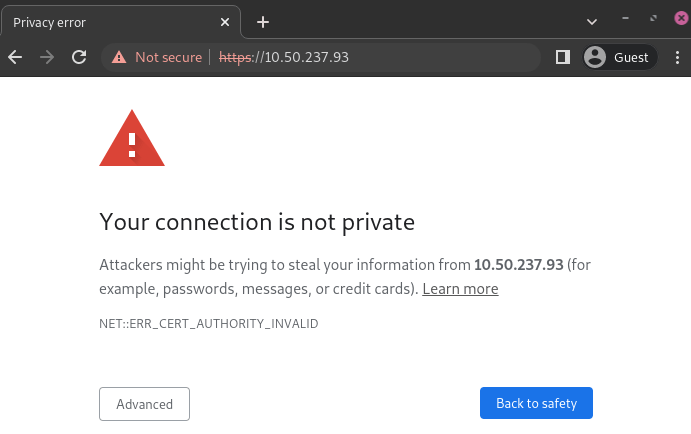 有关 Google Chrome 上连接隐私的警告页面