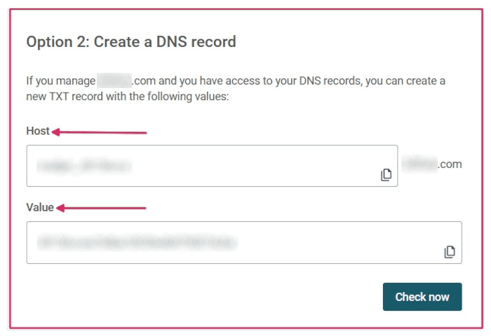 要输入域名 DNS 的 TXT 记录信息。