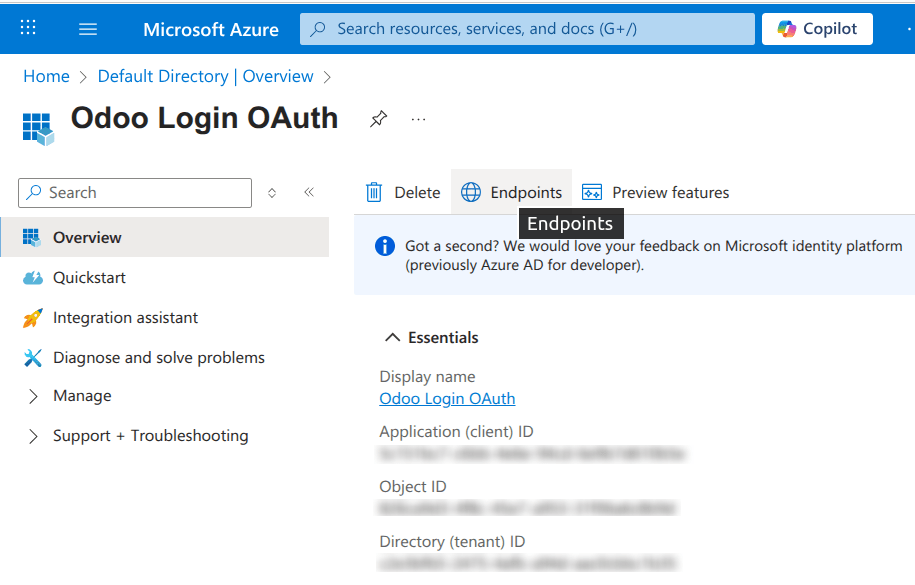 应用程序 ID 和 OAuth 2.0 授权端点 (v2) 凭证。