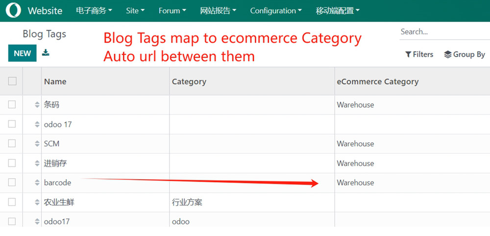 4. Odoo全站特殊优化，增补重要页面的SEO设置，如电商品类/博客类别等关键页